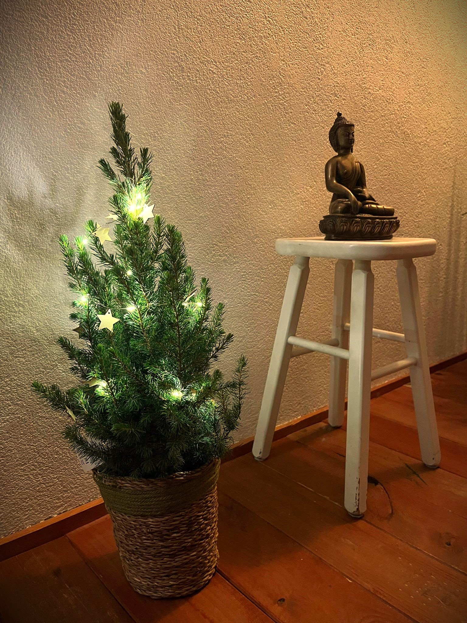 kerstboom en buddha
